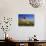 Field Poppies in Barley Field in Early Summer-null-Photographic Print displayed on a wall