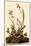 Field Sparrow-John James Audubon-Mounted Giclee Print