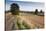 Field Stubble after Harvest, Haregill Lodge Farm, Ellingstring, North Yorkshire, England, UK-Paul Harris-Stretched Canvas