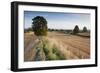 Field Stubble after Harvest, Haregill Lodge Farm, Ellingstring, North Yorkshire, England, UK-Paul Harris-Framed Photographic Print