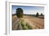 Field Stubble after Harvest, Haregill Lodge Farm, Ellingstring, North Yorkshire, England, UK-Paul Harris-Framed Photographic Print