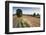 Field Stubble after Harvest, Haregill Lodge Farm, Ellingstring, North Yorkshire, England, UK-Paul Harris-Framed Photographic Print