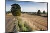 Field Stubble after Harvest, Haregill Lodge Farm, Ellingstring, North Yorkshire, England, UK-Paul Harris-Mounted Photographic Print