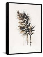 Field Study Grasses-Jurgen Gottschlag-Framed Stretched Canvas