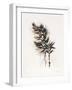 Field Study Grasses-Jurgen Gottschlag-Framed Art Print