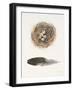 Field Study Nest-Jurgen Gottschlag-Framed Art Print