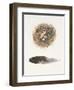 Field Study Nest-Jurgen Gottschlag-Framed Art Print