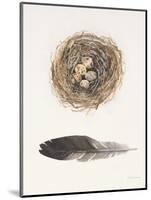 Field Study Nest-Jurgen Gottschlag-Mounted Art Print