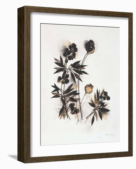 Field Study Pods-Jurgen Gottschlag-Framed Art Print