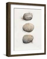 Field Study Stone-Jurgen Gottschlag-Framed Art Print