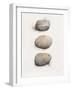 Field Study Stone-Jurgen Gottschlag-Framed Art Print
