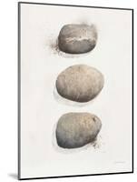 Field Study Stone-Jurgen Gottschlag-Mounted Art Print