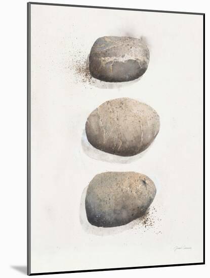 Field Study Stone-Jurgen Gottschlag-Mounted Art Print