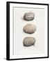 Field Study Stone-Jurgen Gottschlag-Framed Art Print