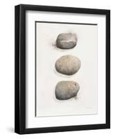 Field Study Stone-Jurgen Gottschlag-Framed Art Print