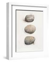 Field Study Stone-Jurgen Gottschlag-Framed Art Print