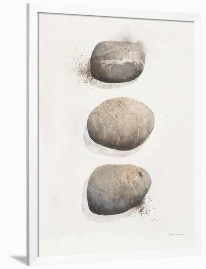 Field Study Stone-Jurgen Gottschlag-Framed Art Print