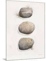 Field Study Stone-Jurgen Gottschlag-Mounted Art Print