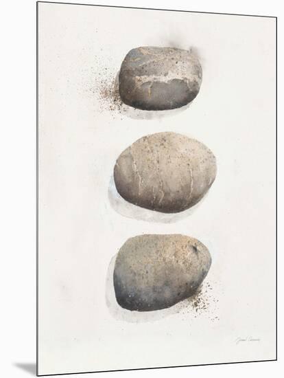 Field Study Stone-Jurgen Gottschlag-Mounted Art Print