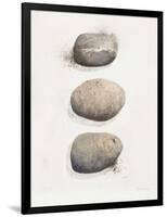 Field Study Stone-Jurgen Gottschlag-Framed Art Print