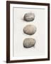 Field Study Stone-Jurgen Gottschlag-Framed Art Print