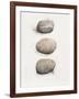 Field Study Stone-Jurgen Gottschlag-Framed Art Print