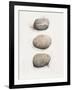 Field Study Stone-Jurgen Gottschlag-Framed Art Print