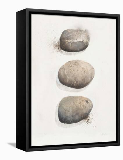 Field Study Stone-Jurgen Gottschlag-Framed Stretched Canvas