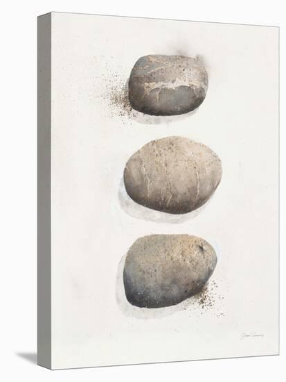 Field Study Stone-Jurgen Gottschlag-Stretched Canvas