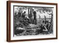 Brown Frame
