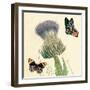 Field Thistle-Louis Van Houtte-Framed Art Print