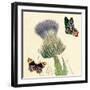 Field Thistle-Louis Van Houtte-Framed Art Print