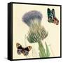 Field Thistle-Louis Van Houtte-Framed Stretched Canvas