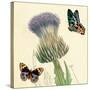 Field Thistle-Louis Van Houtte-Stretched Canvas