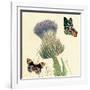 Field Thistle-Louis Van Houtte-Framed Art Print