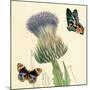 Field Thistle-Louis Van Houtte-Mounted Art Print