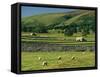 Field Walls of Littondale, Yorkshire Dales National Park, England-Paul Harris-Framed Stretched Canvas