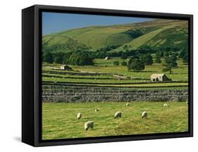 Field Walls of Littondale, Yorkshire Dales National Park, England-Paul Harris-Framed Stretched Canvas