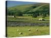 Field Walls of Littondale, Yorkshire Dales National Park, England-Paul Harris-Stretched Canvas