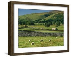 Field Walls of Littondale, Yorkshire Dales National Park, England-Paul Harris-Framed Photographic Print