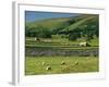 Field Walls of Littondale, Yorkshire Dales National Park, England-Paul Harris-Framed Photographic Print