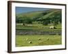 Field Walls of Littondale, Yorkshire Dales National Park, England-Paul Harris-Framed Photographic Print