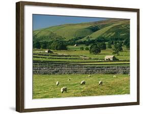 Field Walls of Littondale, Yorkshire Dales National Park, England-Paul Harris-Framed Photographic Print