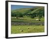 Field Walls of Littondale, Yorkshire Dales National Park, England-Paul Harris-Framed Photographic Print