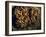 Field Wasps, Many, Colony, Honeycomb-Harald Kroiss-Framed Photographic Print