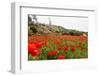 Field with A Beautiful Red Poppies-Olga Gavrilova-Framed Photographic Print