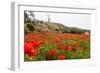 Field with A Beautiful Red Poppies-Olga Gavrilova-Framed Photographic Print