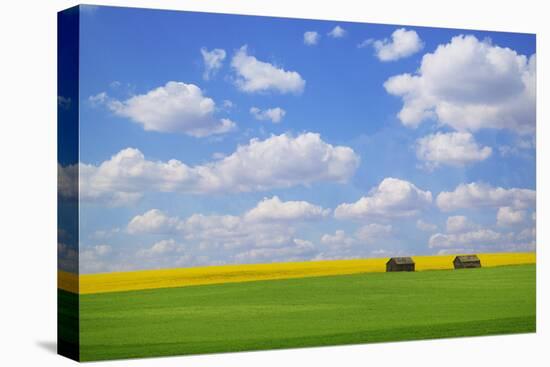 Field with Barn-null-Stretched Canvas