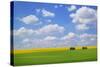 Field with Barn-null-Stretched Canvas