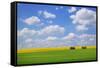 Field with Barn-null-Framed Stretched Canvas